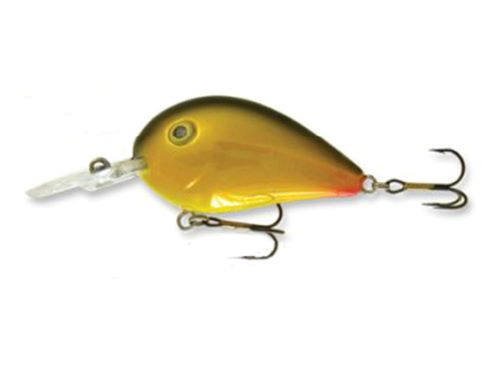 Goldy Wibro max MCC floating 2.8cm