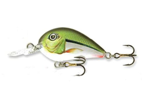 Goldy Wibro max MT floating 2.8cm