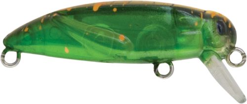 Rapture Grasshopper Summer Fest 