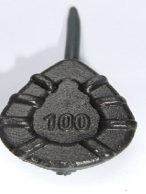 Carp Lead EC 100gr olovo