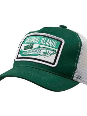 Madcat Silurus Glanis kačket