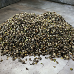 Maxi Bait Crushed Hemp 500gr