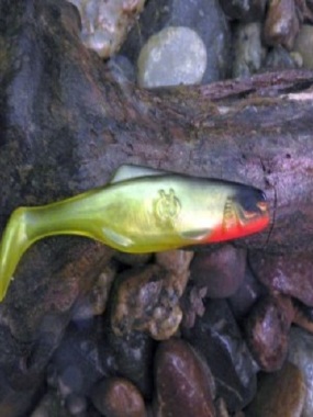 Orka Shad 2005-S-10-YB