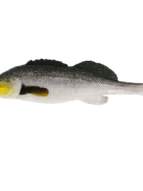 Westin Zanderteez Headlight 12cm